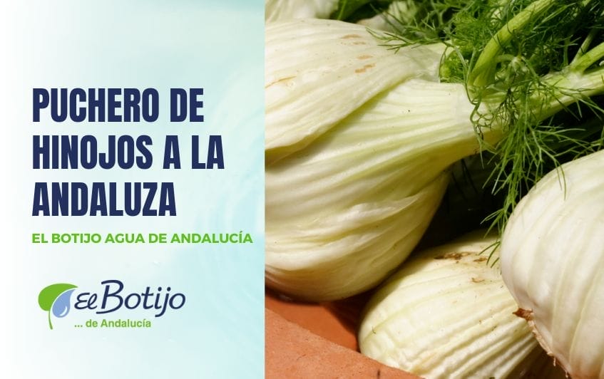 Puchero de hinojos