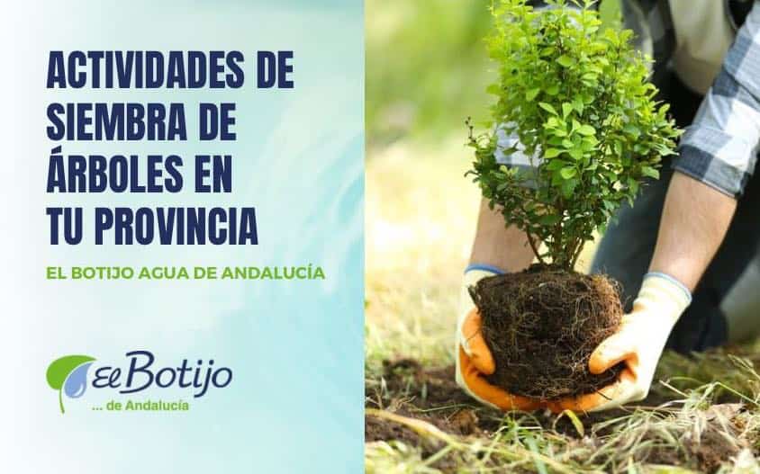 siembra-arboles-provincia