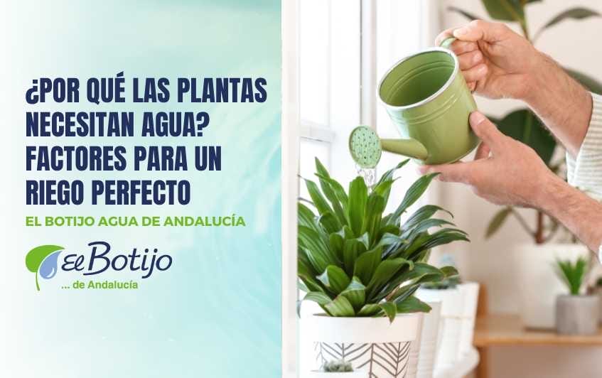 plantas-necesitan-agua